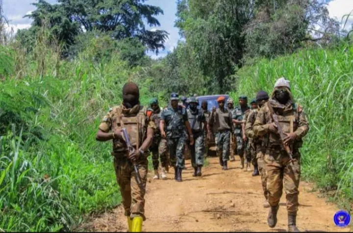 FARDC Ituri